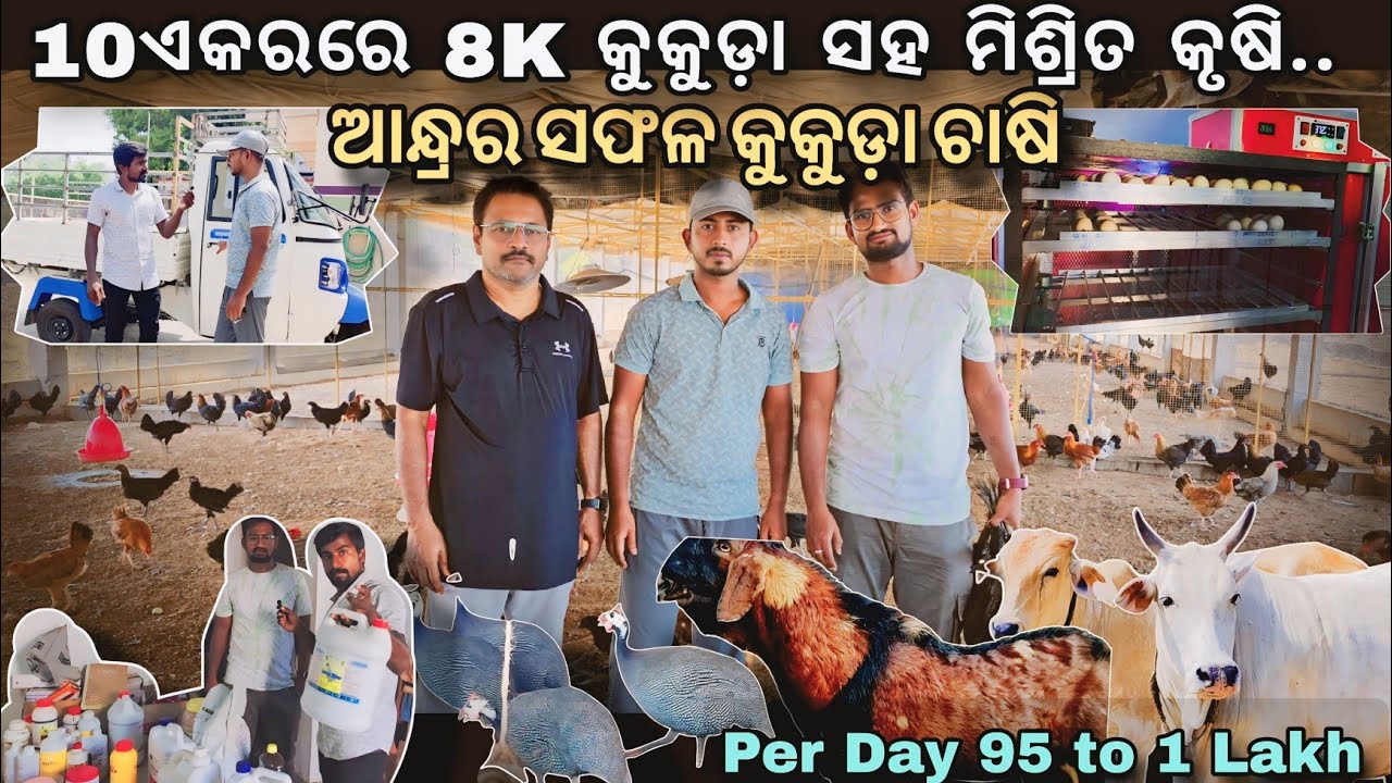 ଆନ୍ଧ୍ରର 3ବନ୍ଧୁ ମିଶି 3ବର୍ଷରେ କରିଛନ୍ତି 10 ଏକରେ Integrated Farming Model. 8k ଦେଶୀ କୁକୁଡ଼ା ସହ ଛେଳି,ମାଛ..