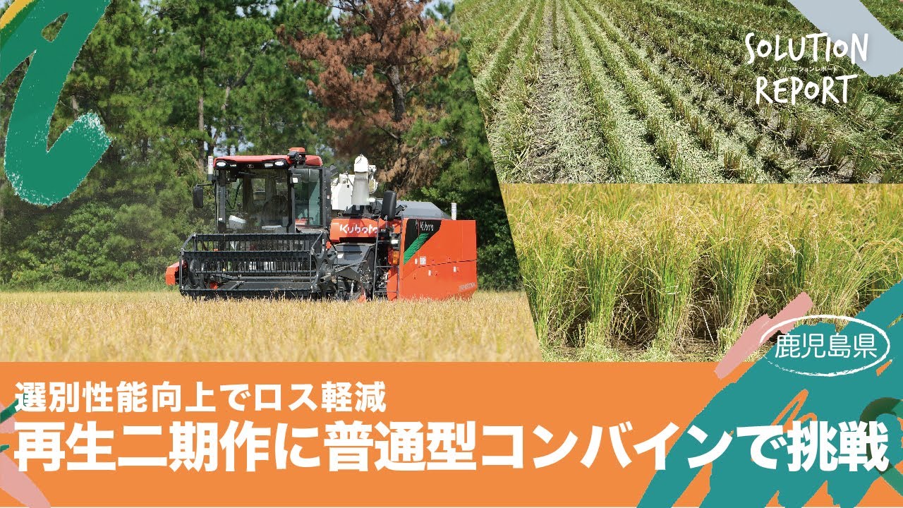 【実証事例】再生二期作で増収を実現 普通型コンバインで2回目の収穫作業(鹿児島県2025/10/30)