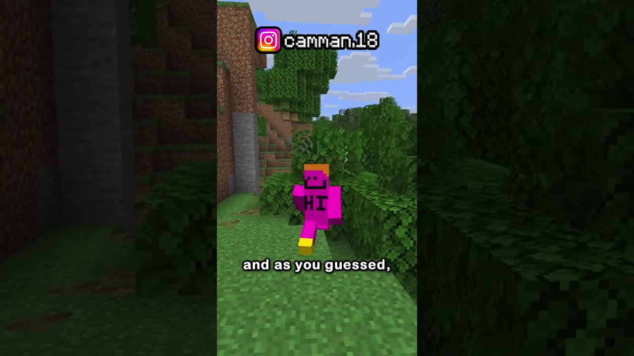 you can see through lava with F3