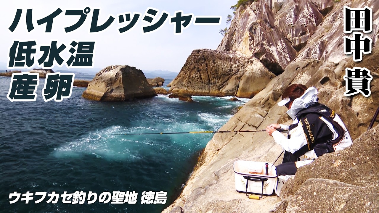 ウキフカセ釣りの聖地・徳島県でグレを狙う！ 1/2 『ITT 19』＜フルver＞【釣りビジョン】