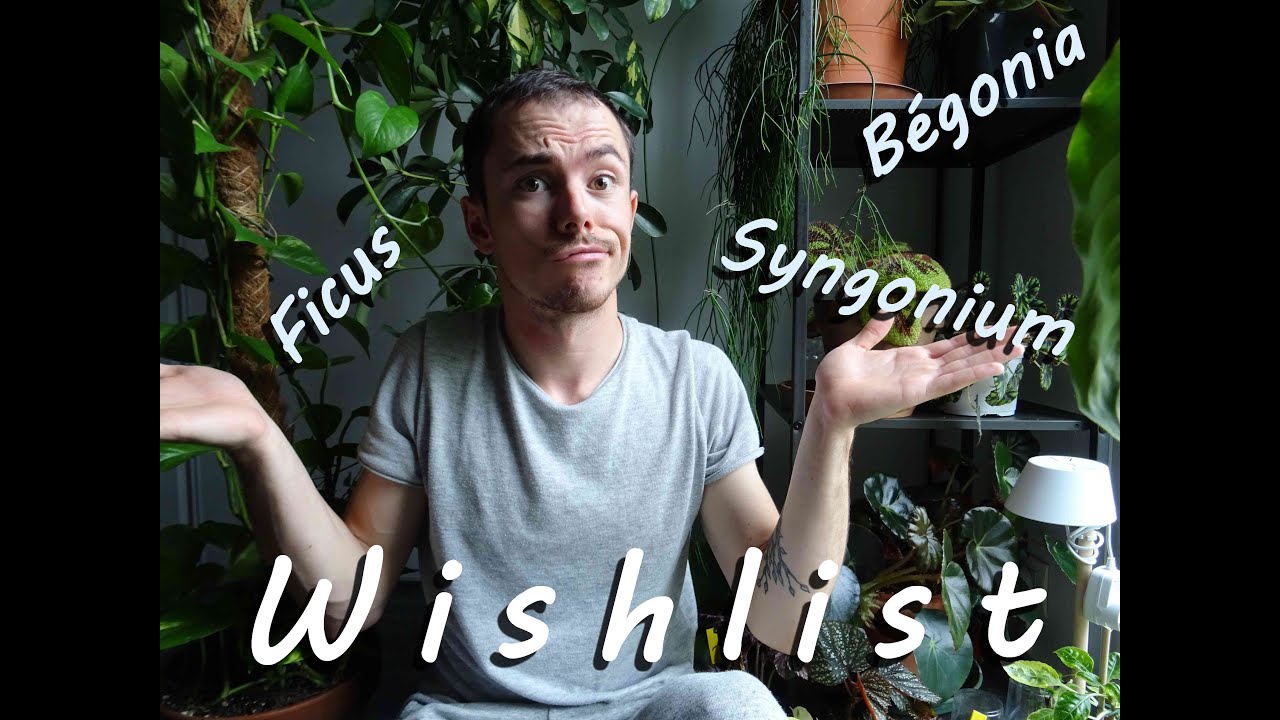 WISHLIST - Mes envies du moment