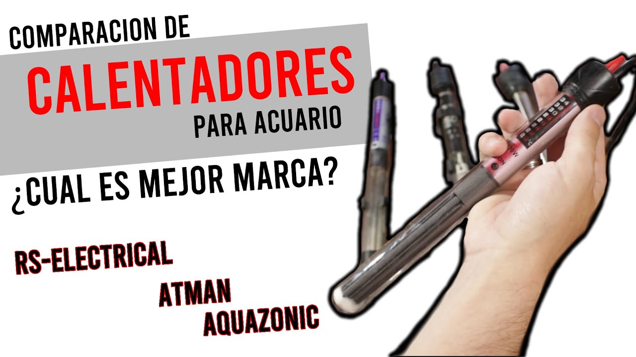 Comparamos 4 calentadores de acuario RS, Atman y Aquazonic