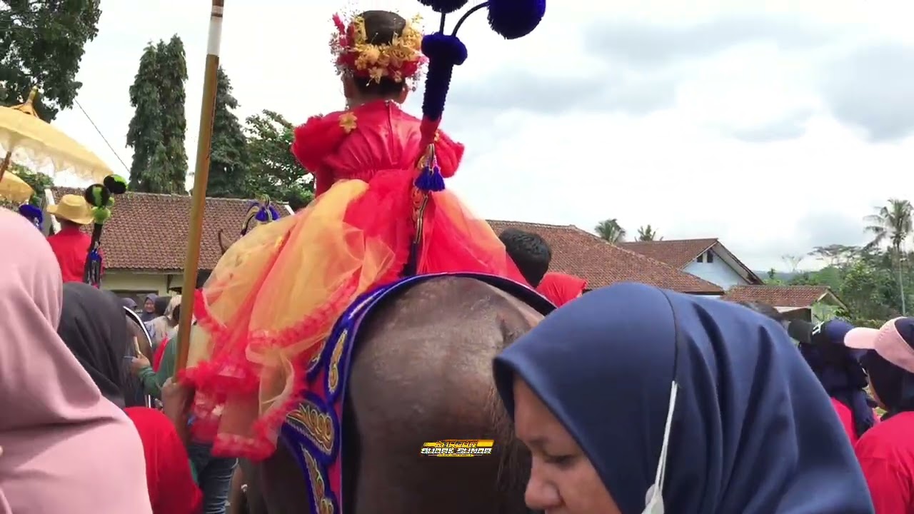 kuda renggong 4 grup‼️citamiang sindang heula tanjungsiang subang❗