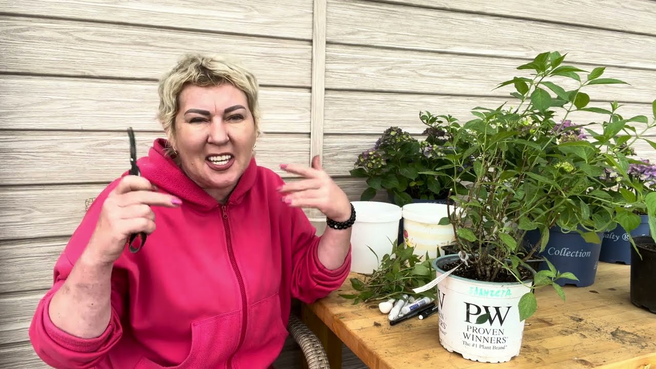 Раннее черенкование отменяется. Как черенковать и продавать. Мои выводы и планы на следующий год.