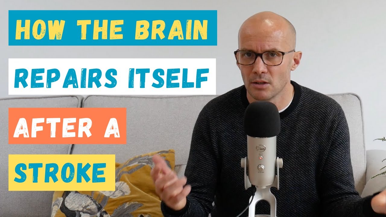 How The Brain Repairs Itself After A Stroke