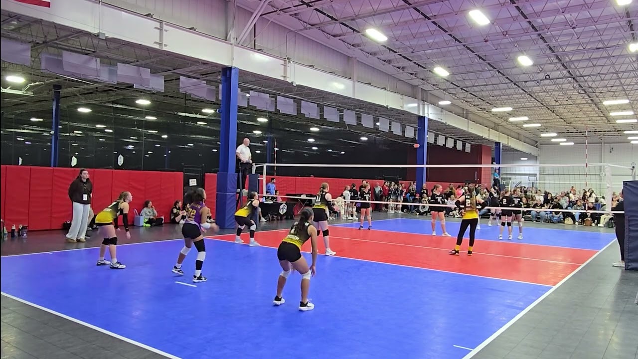 Swarm 12 Black vs Alpha Omega 12-1