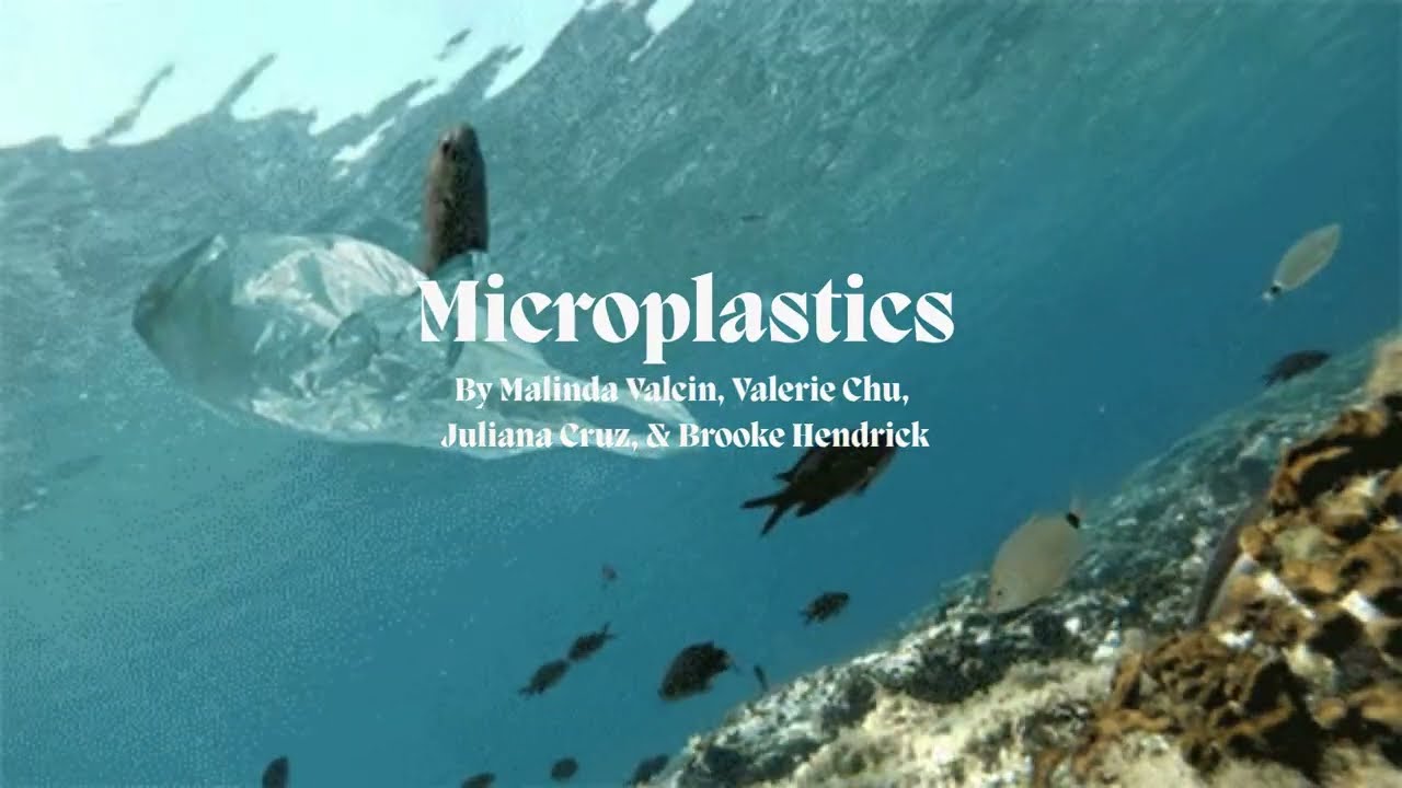 Microplastics Mid Term Project