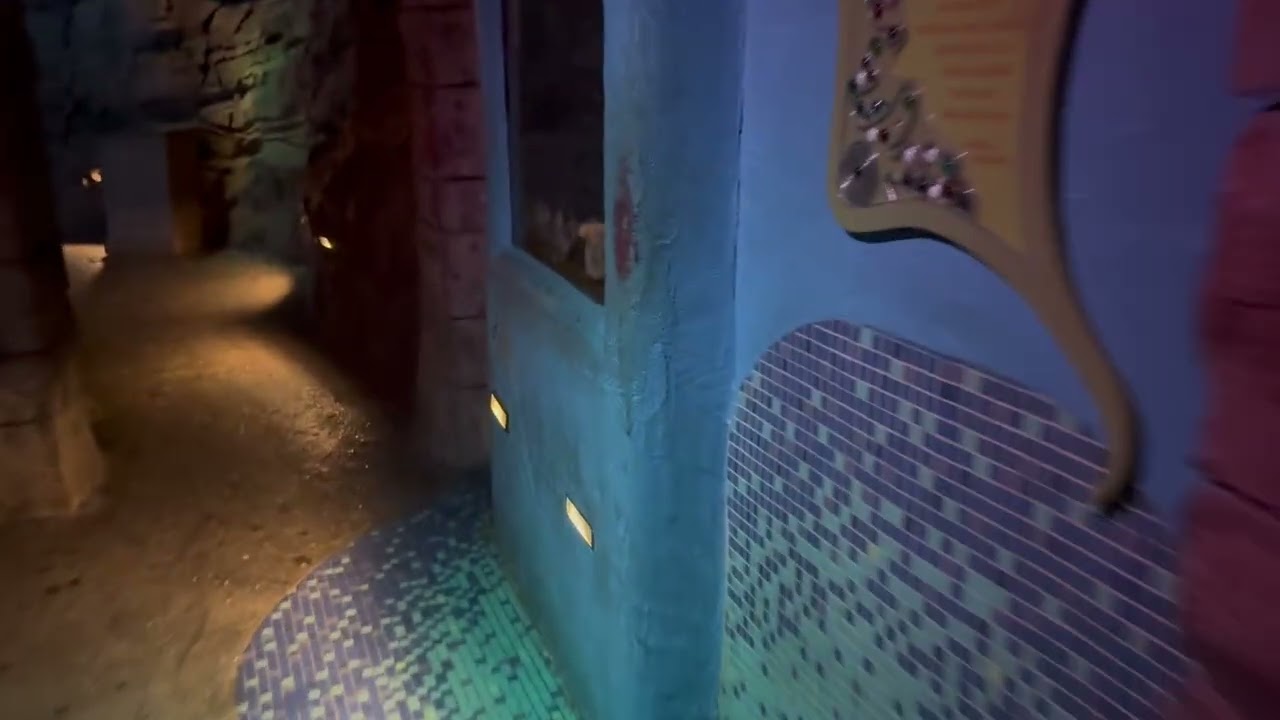 Manta Roller Coaster SeaWorld Orlando Fl 🇺🇸By Captain Johnny 