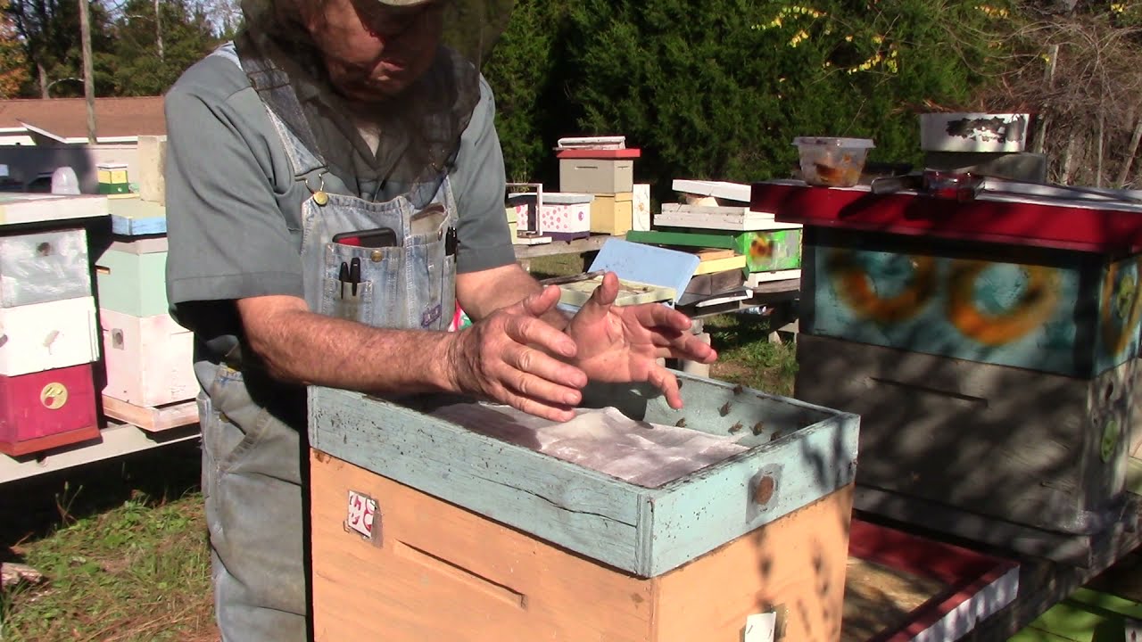 444  #1020 pt.2  how I feed dry sugar. Winter feeding honey bees.& more from last winter