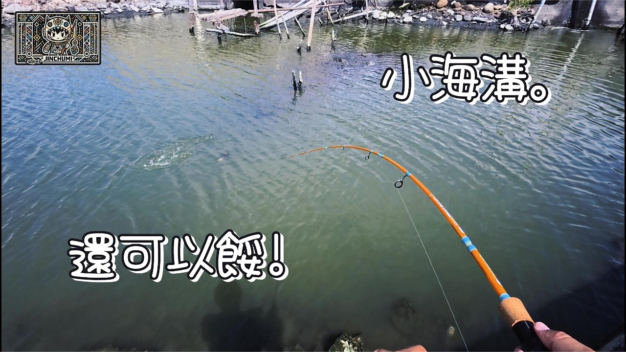 【釣魚津觸咪】小海溝嘎嘎咬餒~ #V特 #路亞 #釣魚 #中部釣魚 #JinChuMi #JCM #Fishing #Lure