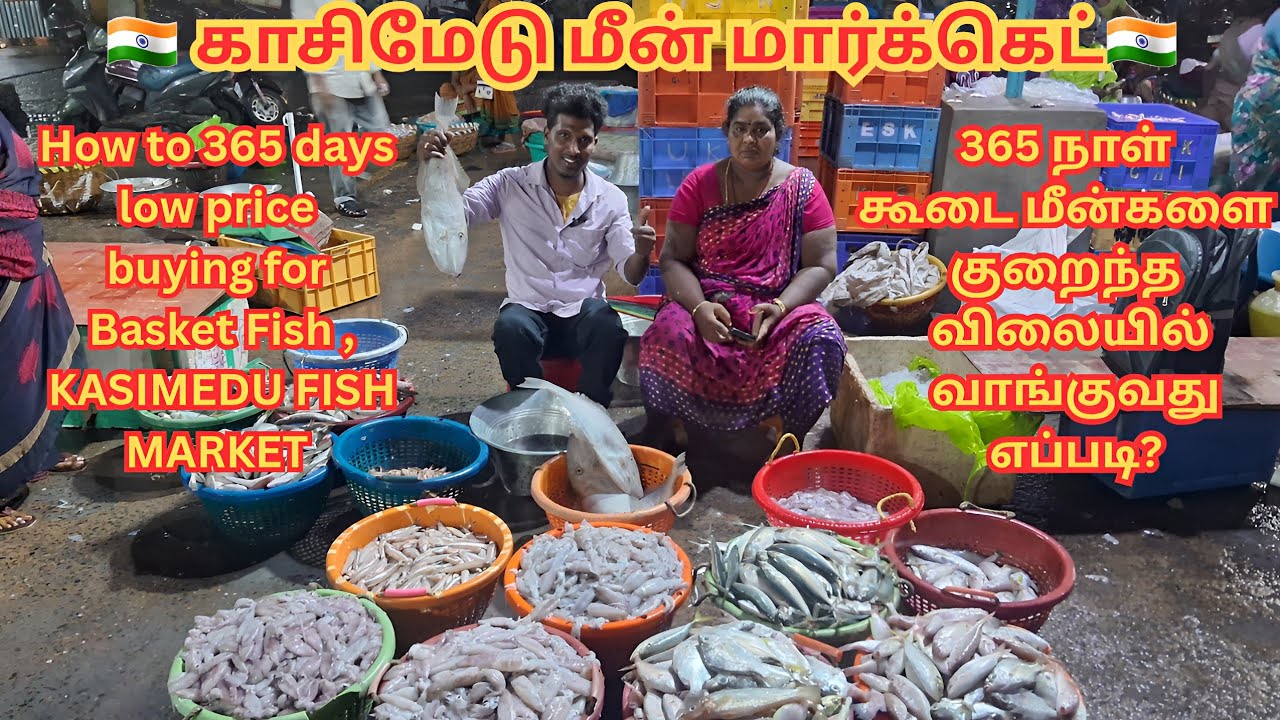 💥🐠 கூடை மீன்கள் | How to low price buying for Basket Fish at Kasimedu #kasimedufishmarket #trending 