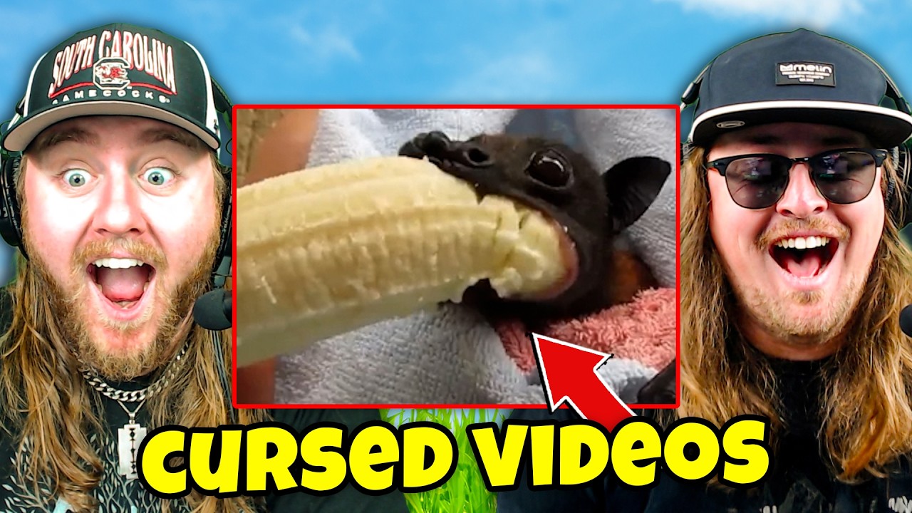 МЫ ИЩЕМ ПРОКЛЯТЫЕ ВИДЕО НА YOUTUBE…