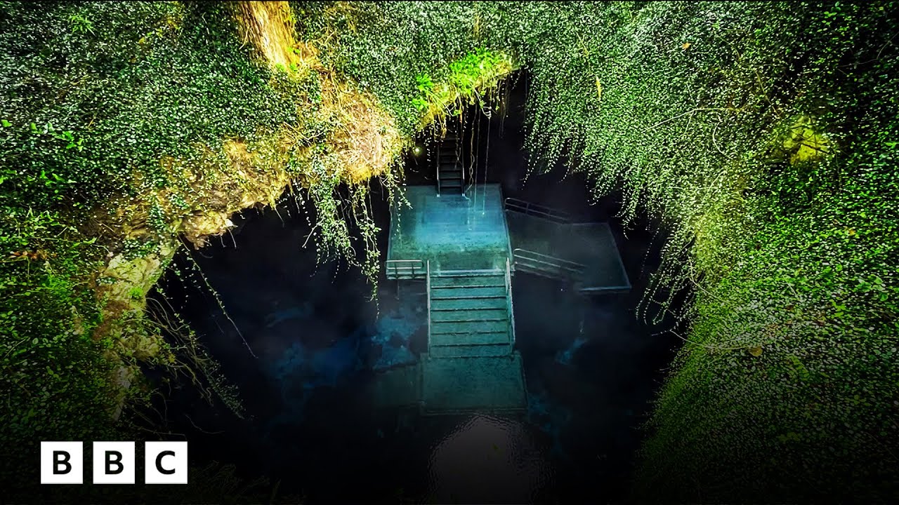 Diving into Florida&rsquo;s prehistoric cave of Ice Age secrets | BBC Global