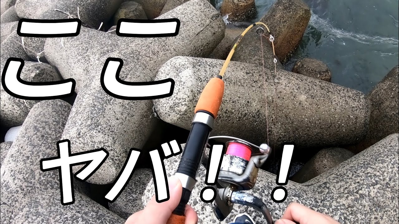 【淡路島】超短時間で良型連発！遠征の穴釣りは、楽しすぎた！根魚の宝庫