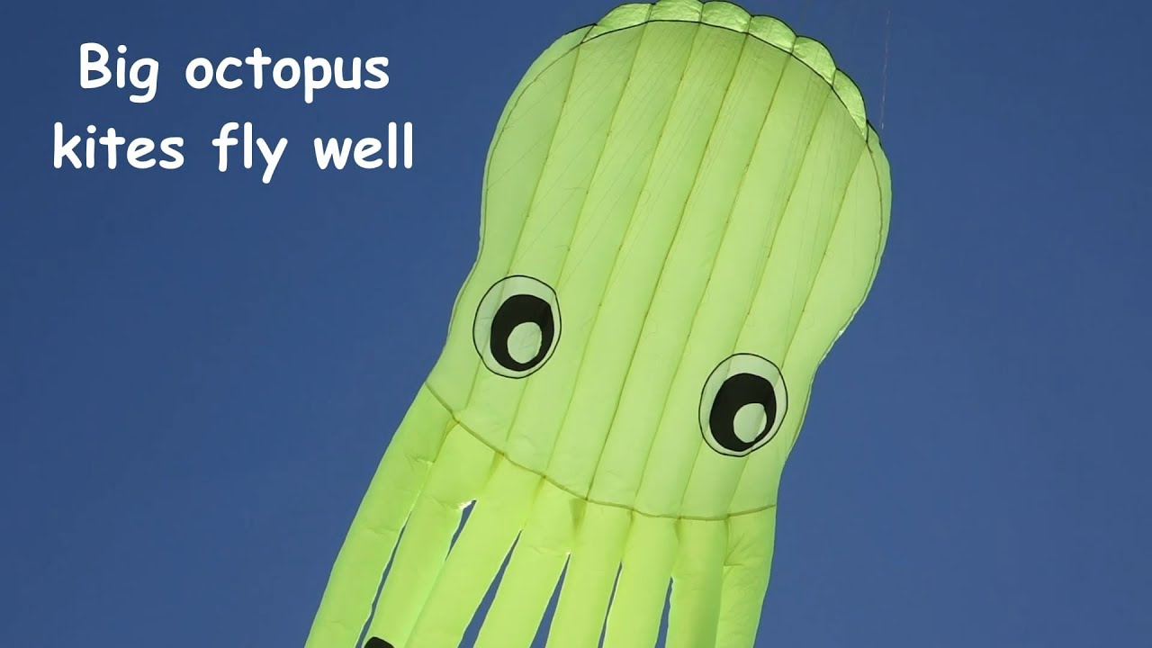 Big octopus kites fly well
