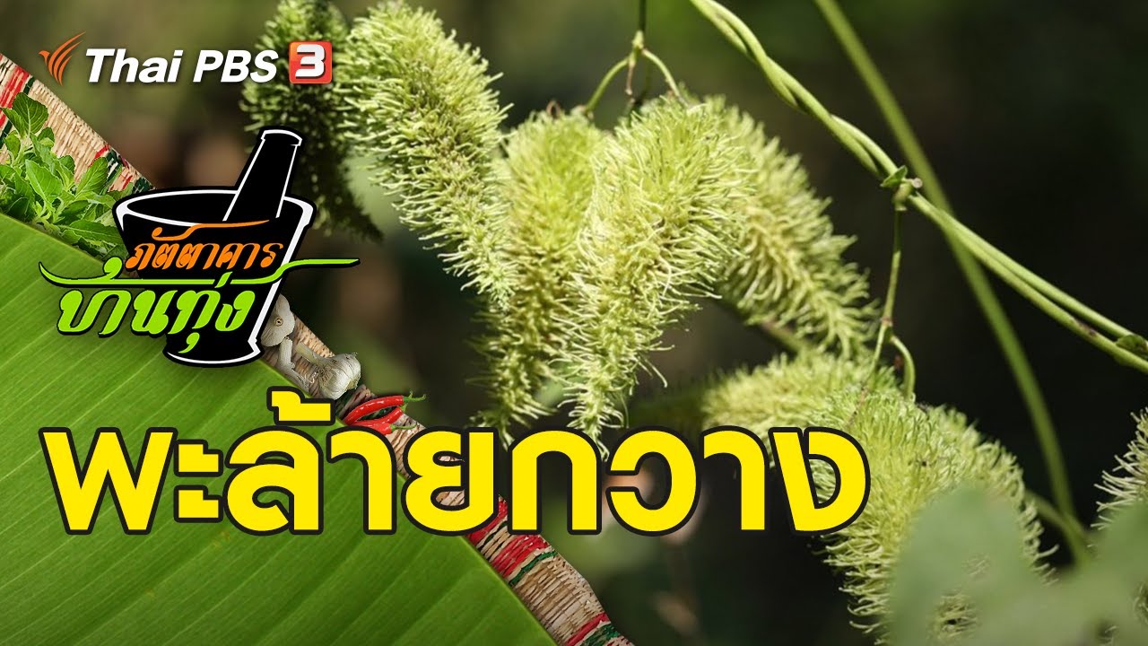 พะล้ายกวาง : ภัตตาคารบ้านทุ่ง