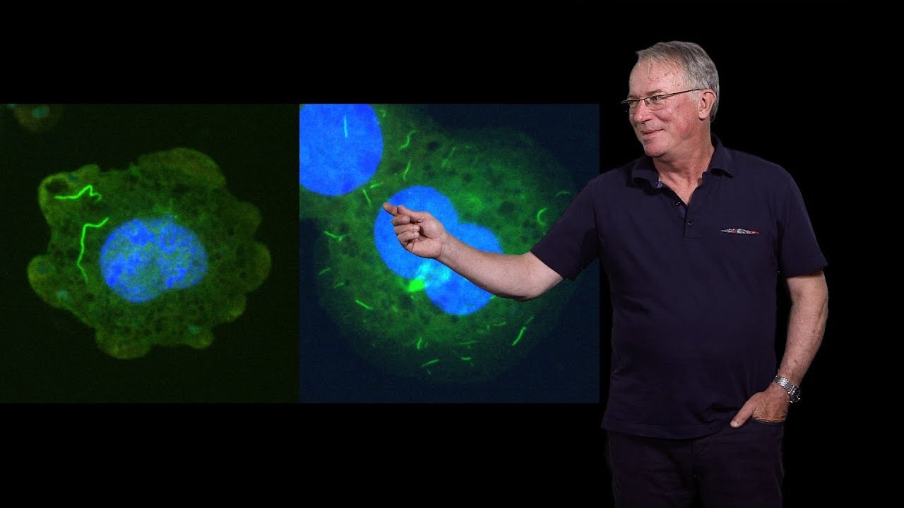 Hidde Ploegh (Boston Children’s Hospital) 2: Unusual Antibody Fragments: The Camelid Nanobodies