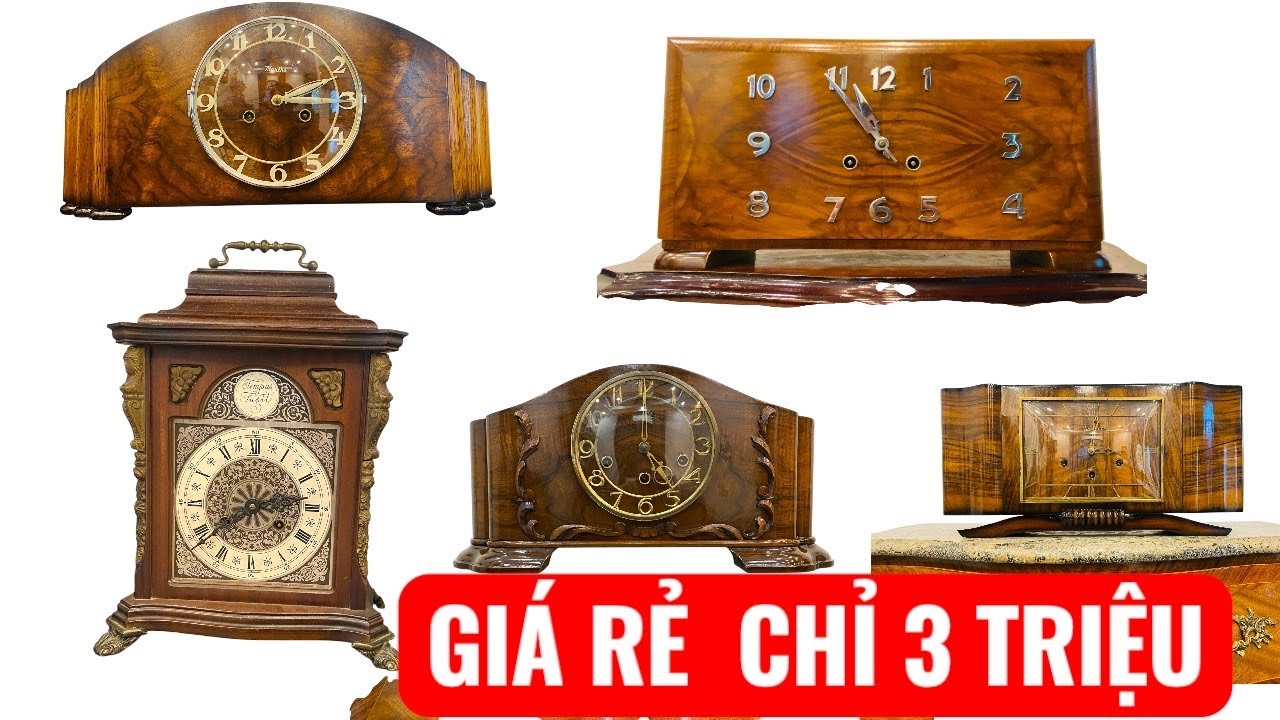 Báo Giá Những Chiếc Vai Bò Giá Rẻ Chỉ Từ 3 Triệu