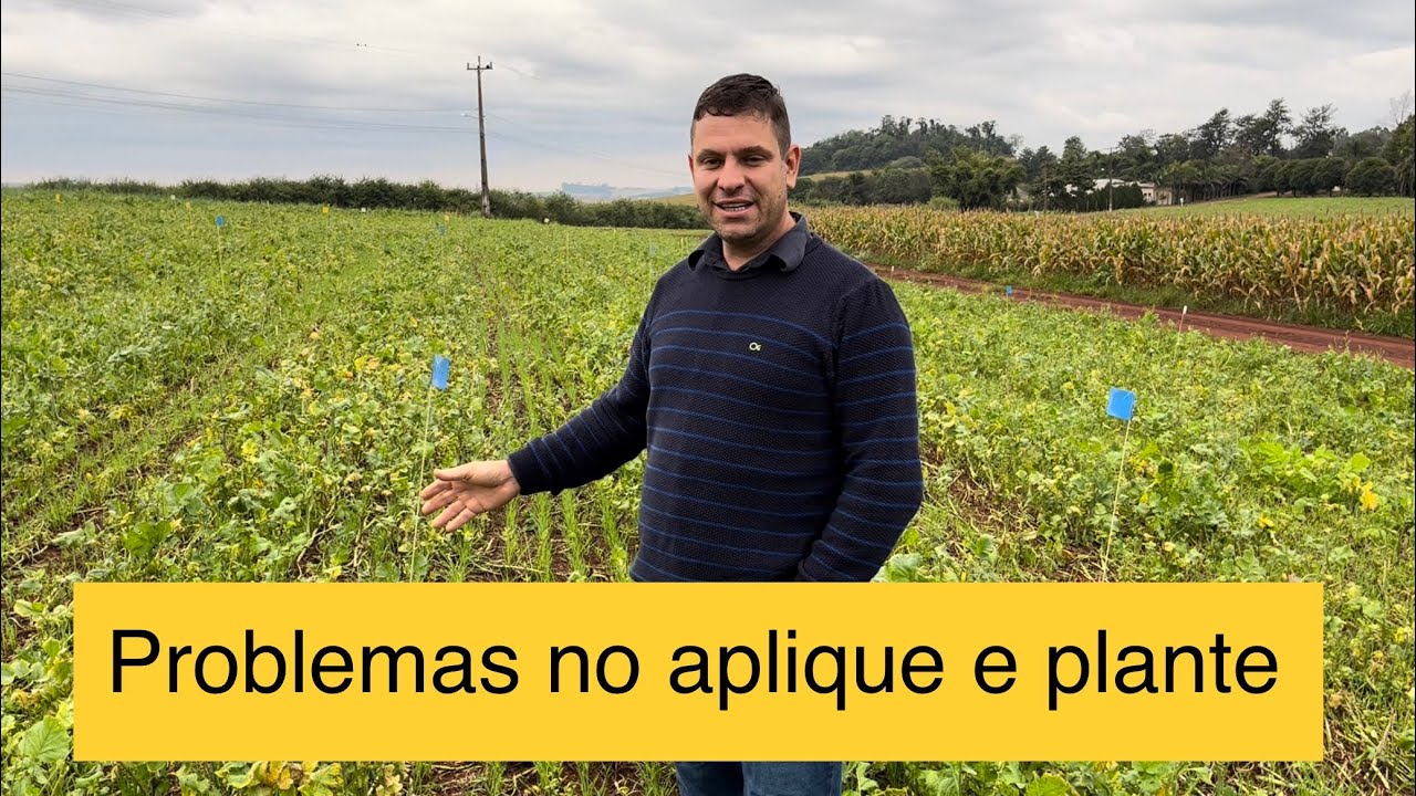 Dose de glifosato para controle do nabo
