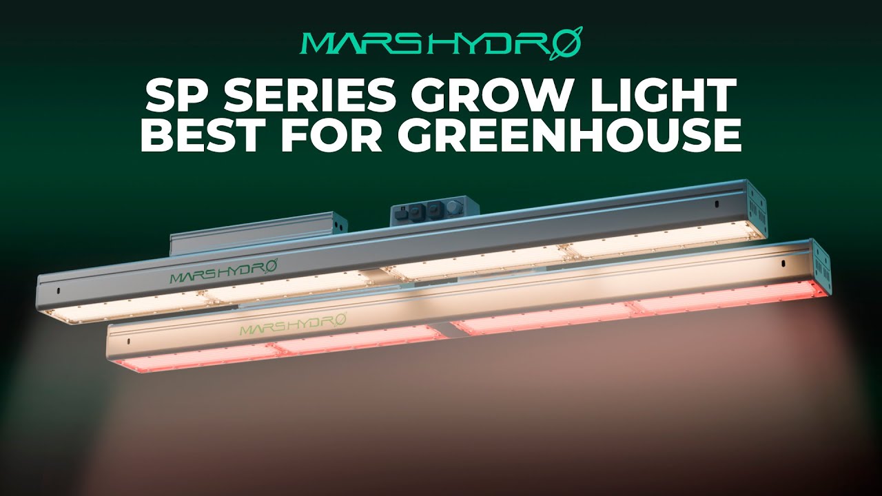 Unveiling the New SP Series丨 The best greenhouse Grow Light