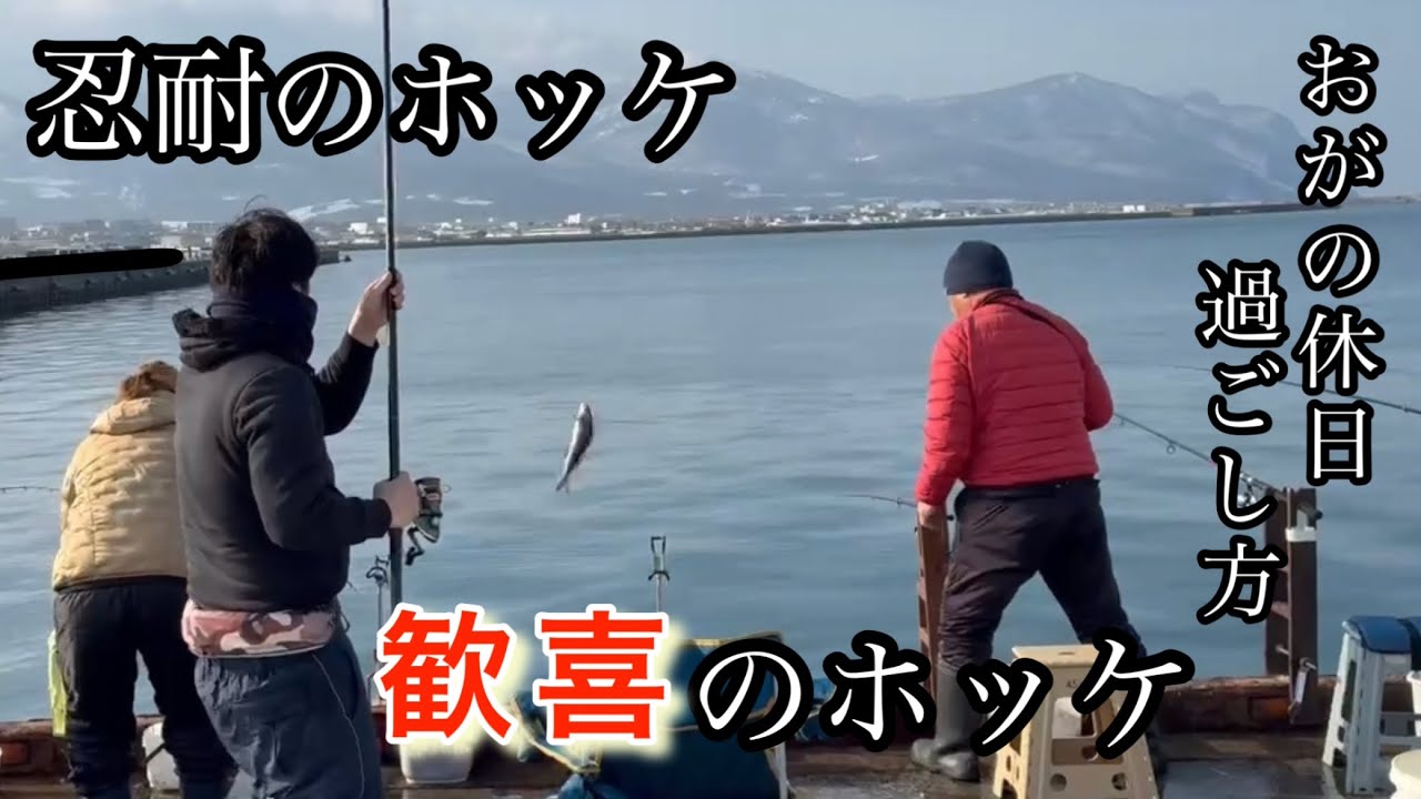 おがの休日過ごし方#168忍耐のホッケ歓喜のホッケ