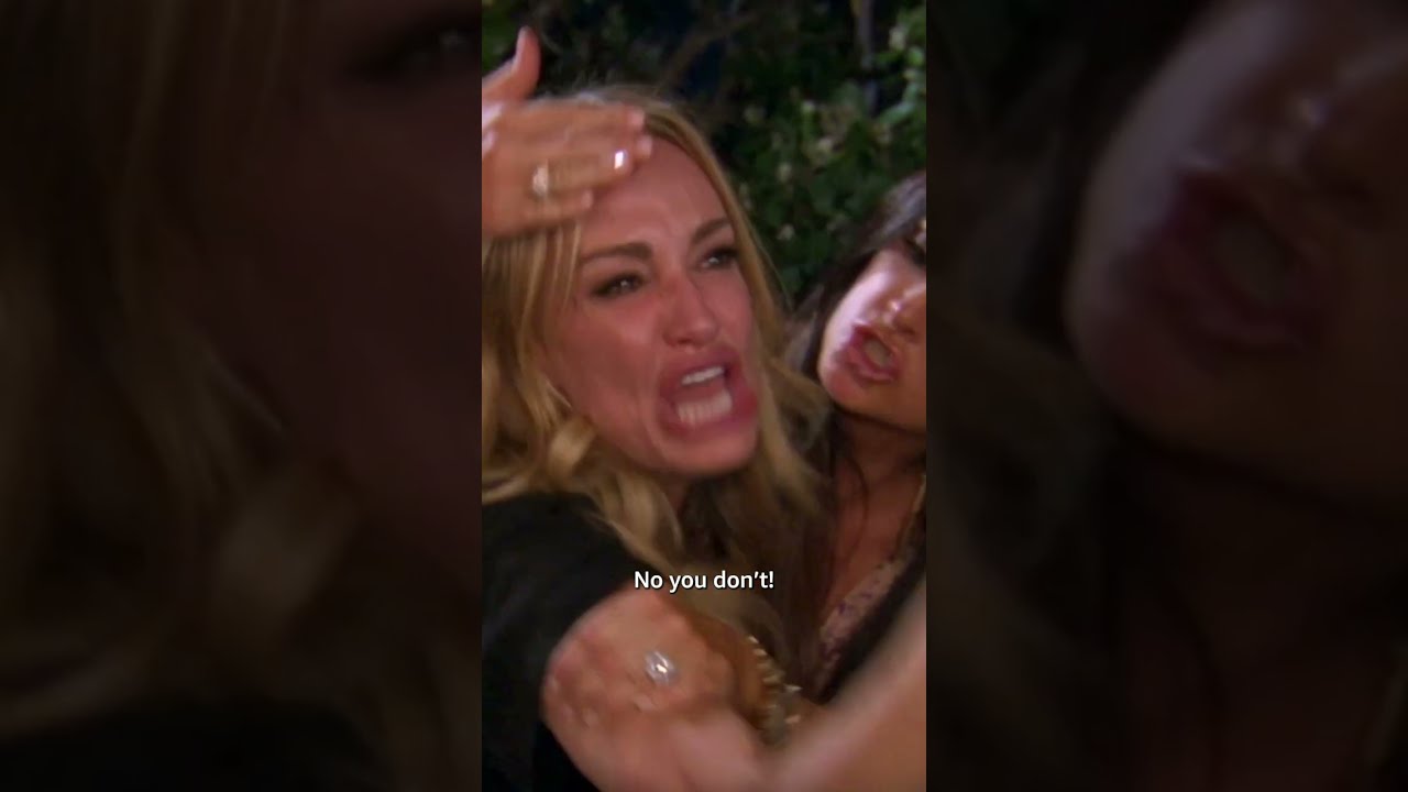 The Fight That Led To The 'Woman Yelling At A Cat' Meme 