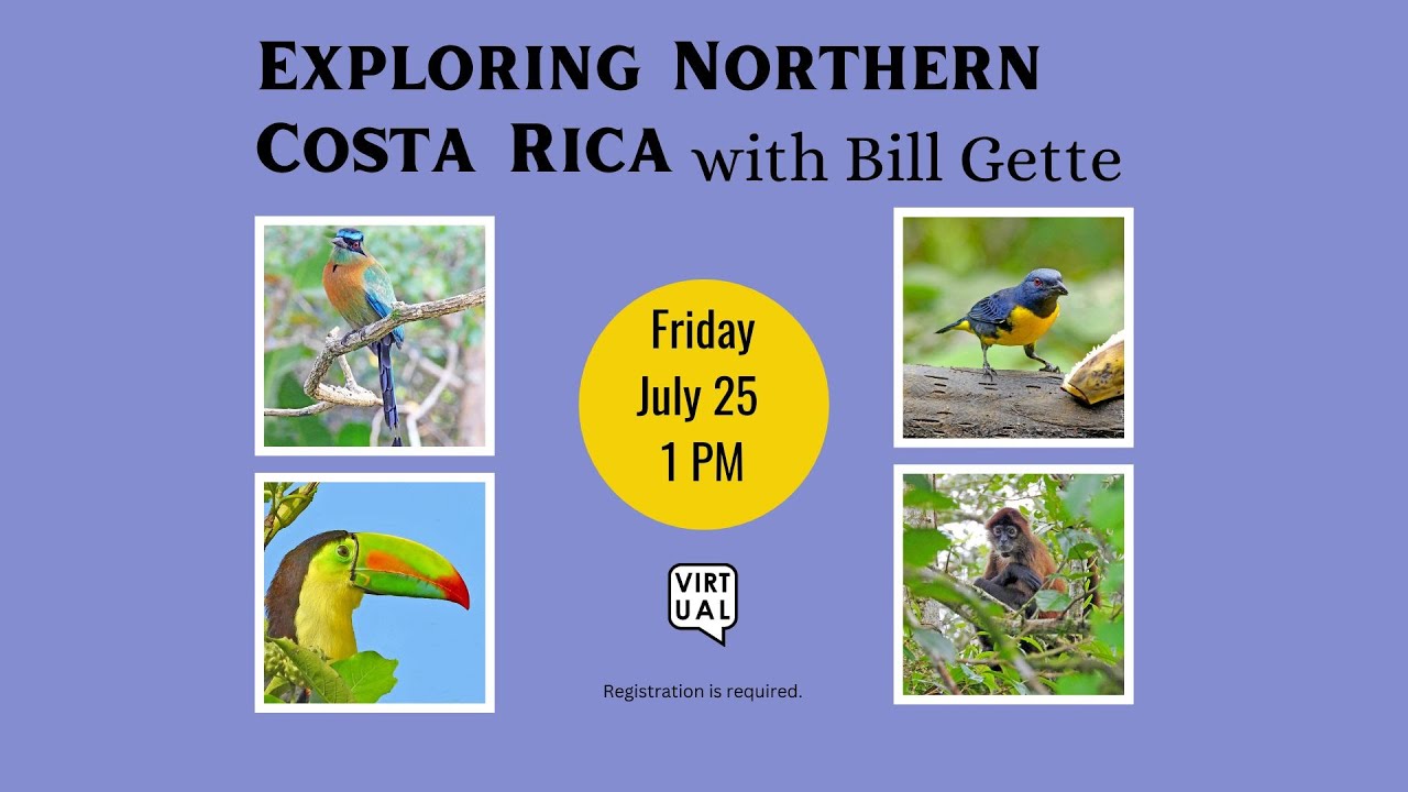 Exploring Northern Costa Rica with Bill Gette