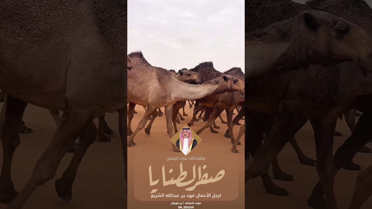 صفر الطنايا 2025