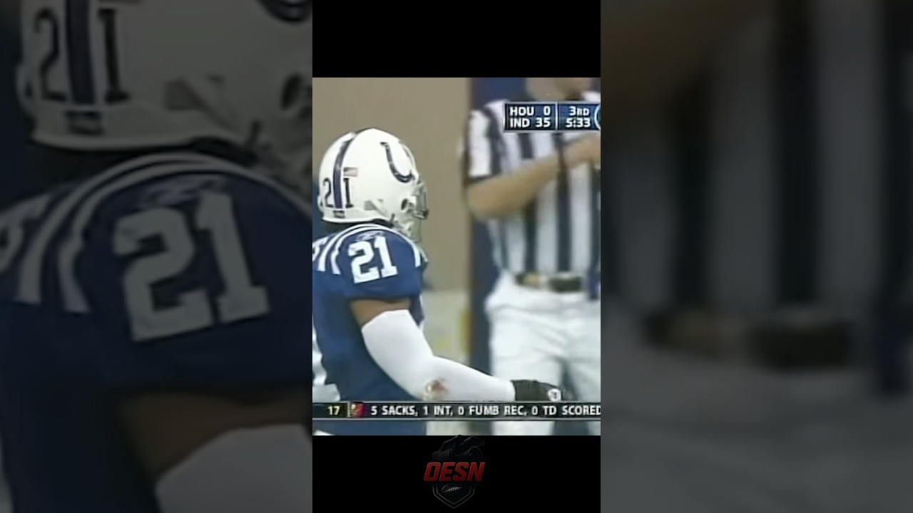BOB SANDERS THE HITMAN | One Of The Best To Ever Do It