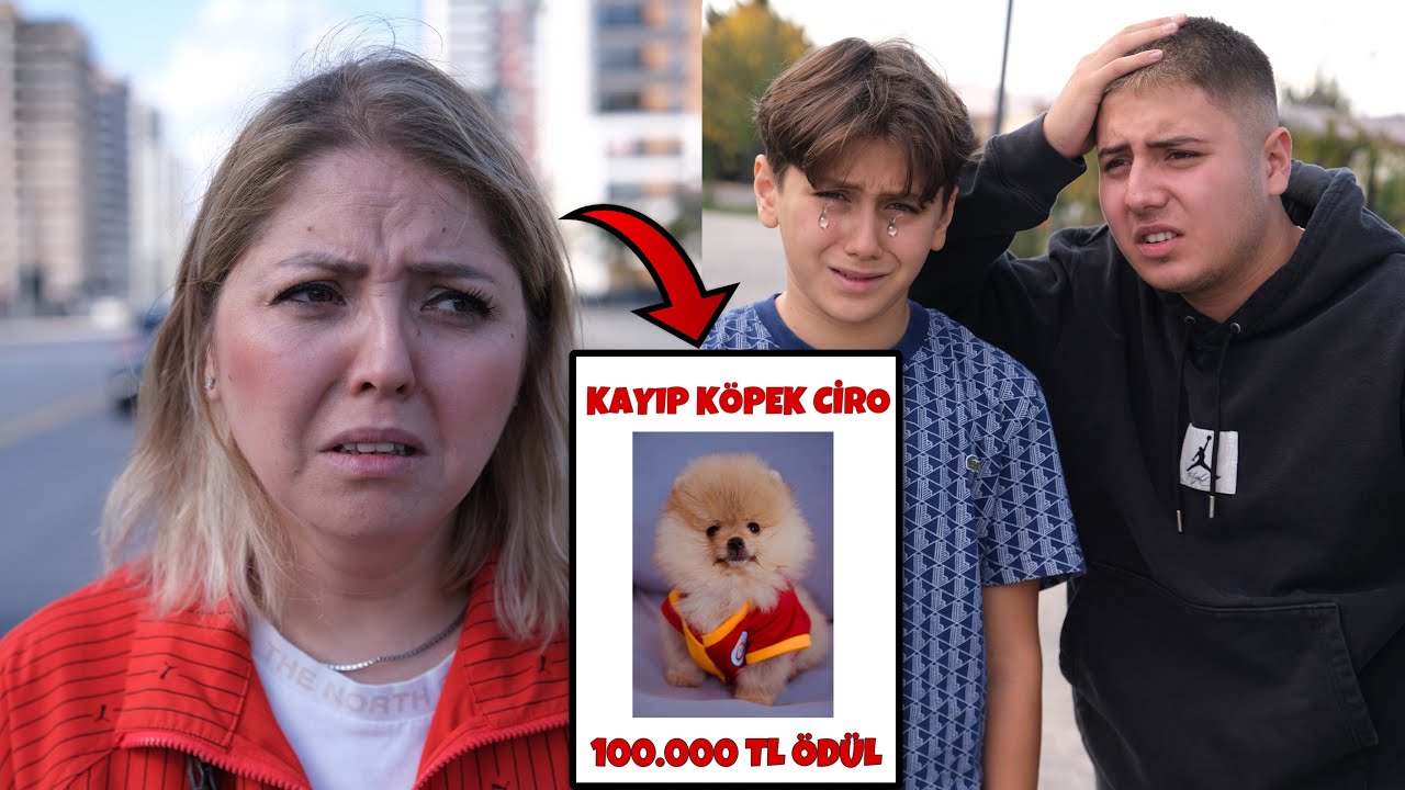 KÖPEĞİMİZ KAYBOLDU ! Bulana 100.000 TL Ödül ( Dolandırıldık )