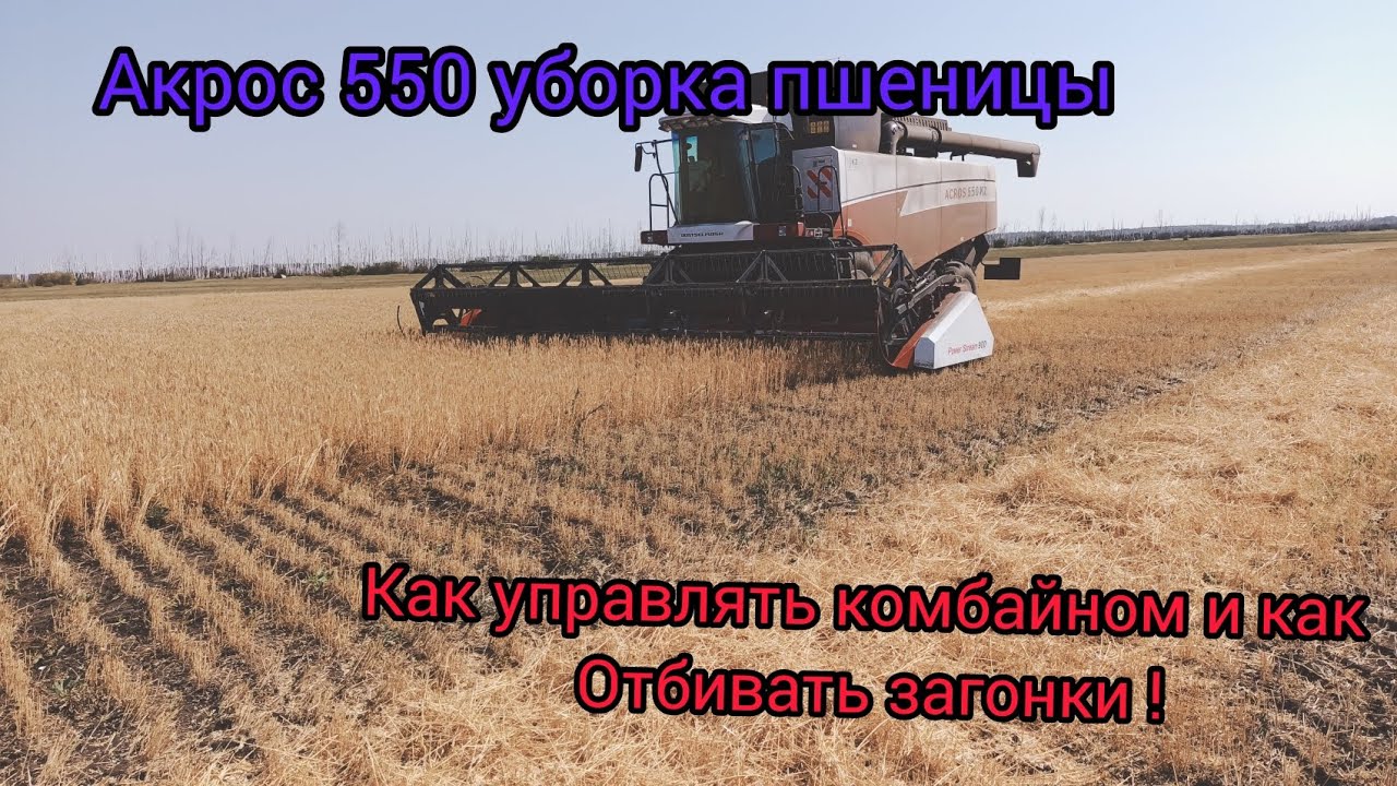Комбайн :Акрос 550 уборка пшеницы ,как управлять комбайном и бить загонки !