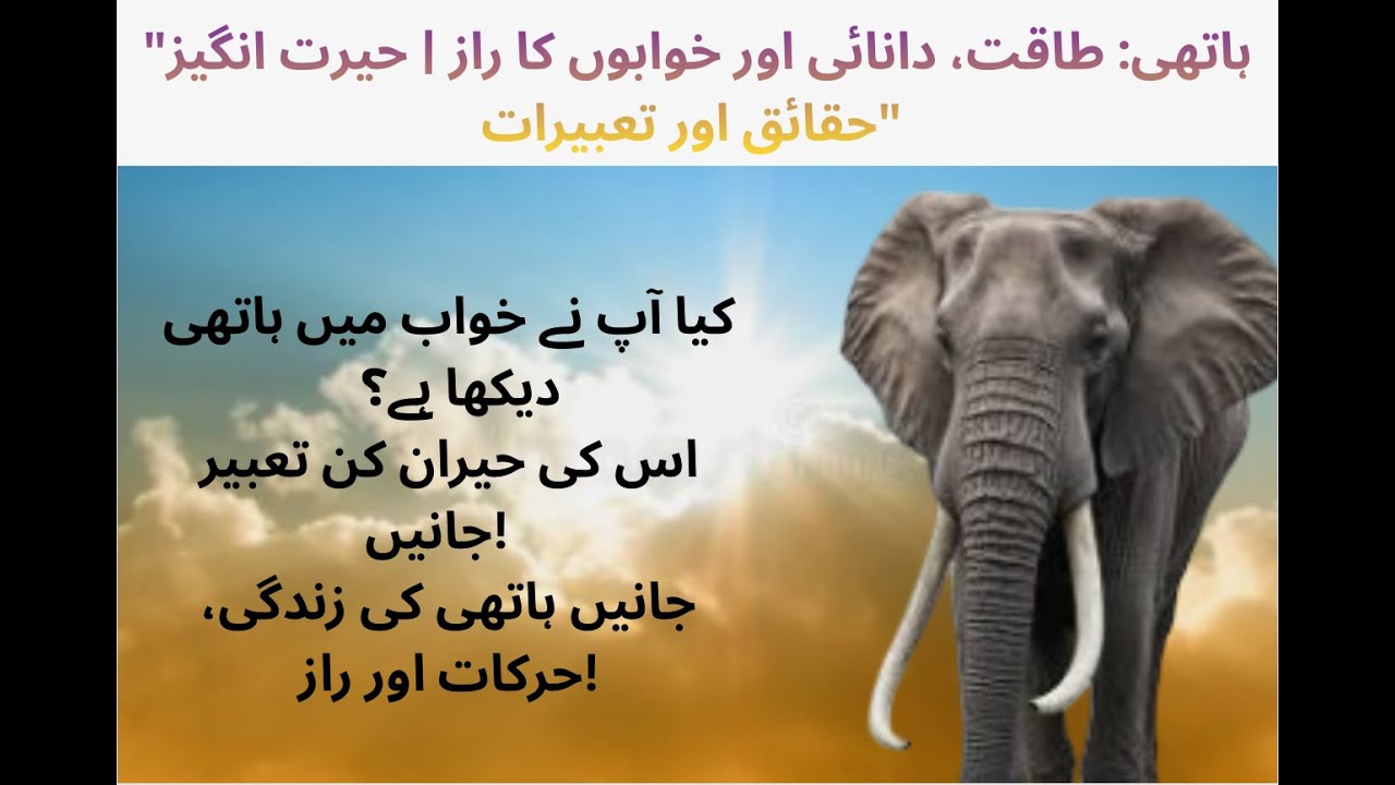 ہاتھی: طاقت، دانائی اور خوابوں کا راز | حیرت انگیز حقائق اور تعبیرات
