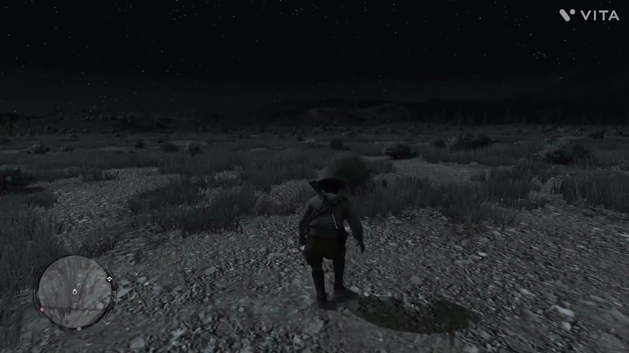 Armadillo