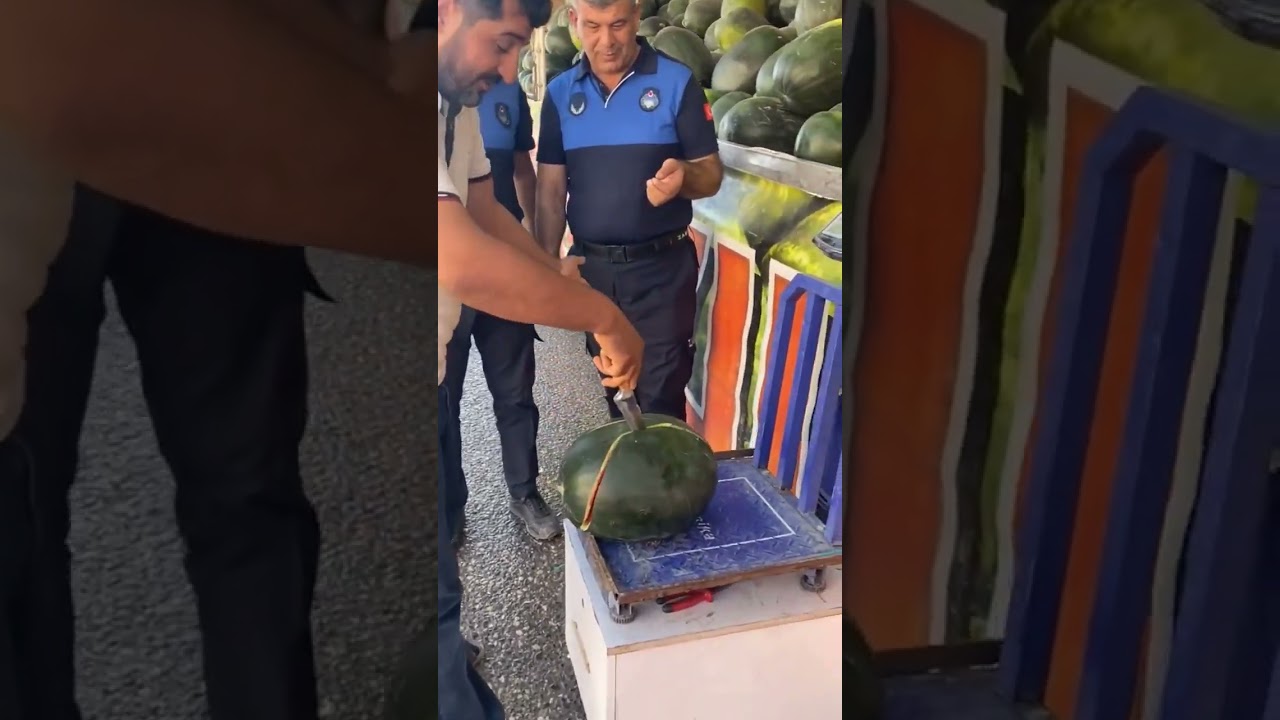 karpuzu kestirip alan zabıta aynı zamanda denetiminide layıkı ile yaptı #tiktok #shorts #video #fyp