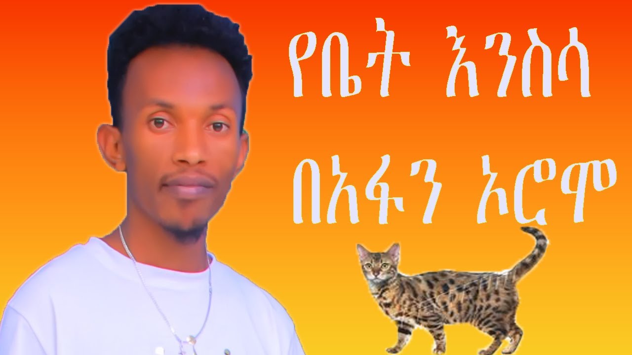 Learn Animal Names in Afaan Oromo Fast/የቤት እንስሳ በአፋን ኦሮሞ