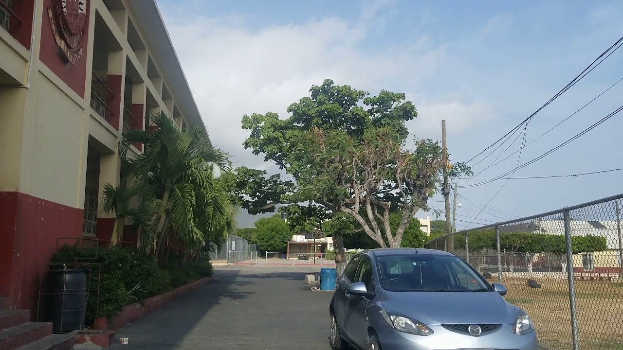 Wolmers Boys School | Kingston