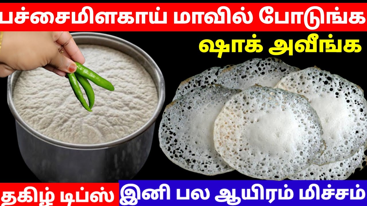 பச்சைமிளகாய் இப்படி மாவில் வெச்சு பாருங்க ஆப்பம் செய்ய புது ஐடியா இனி பல ஆயிரம் மிச்சம் |viralvideo