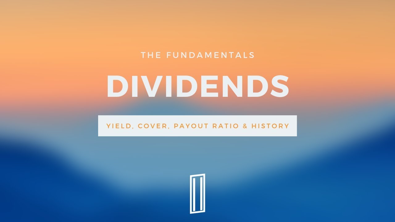 Everything on Dividends! Yield, History, Cover & Payout Ratio | Fundamentals | Investment Tutorial