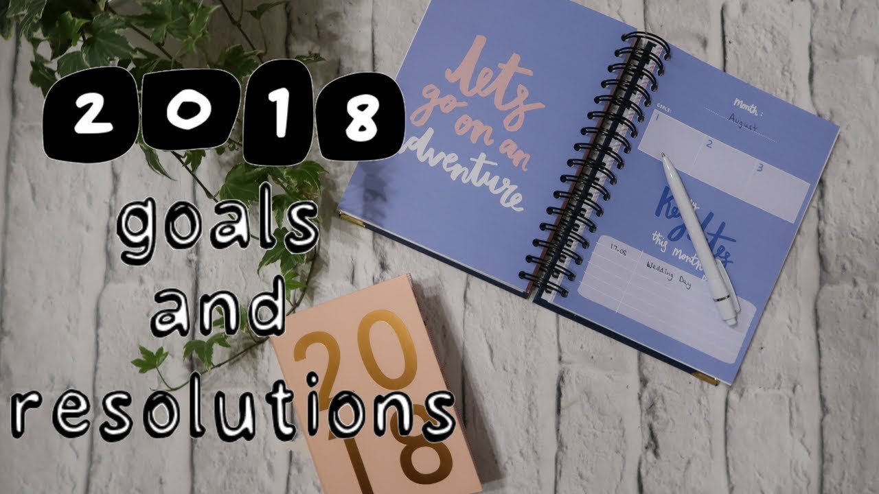 NEW YEARS RESOLUTIONS AND GOALS FOR 2018 | LUCIE AND THE BUMP