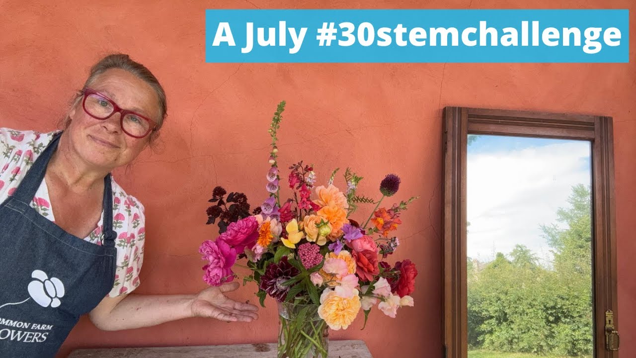 Let’s make a #30stemchallenge for world peace