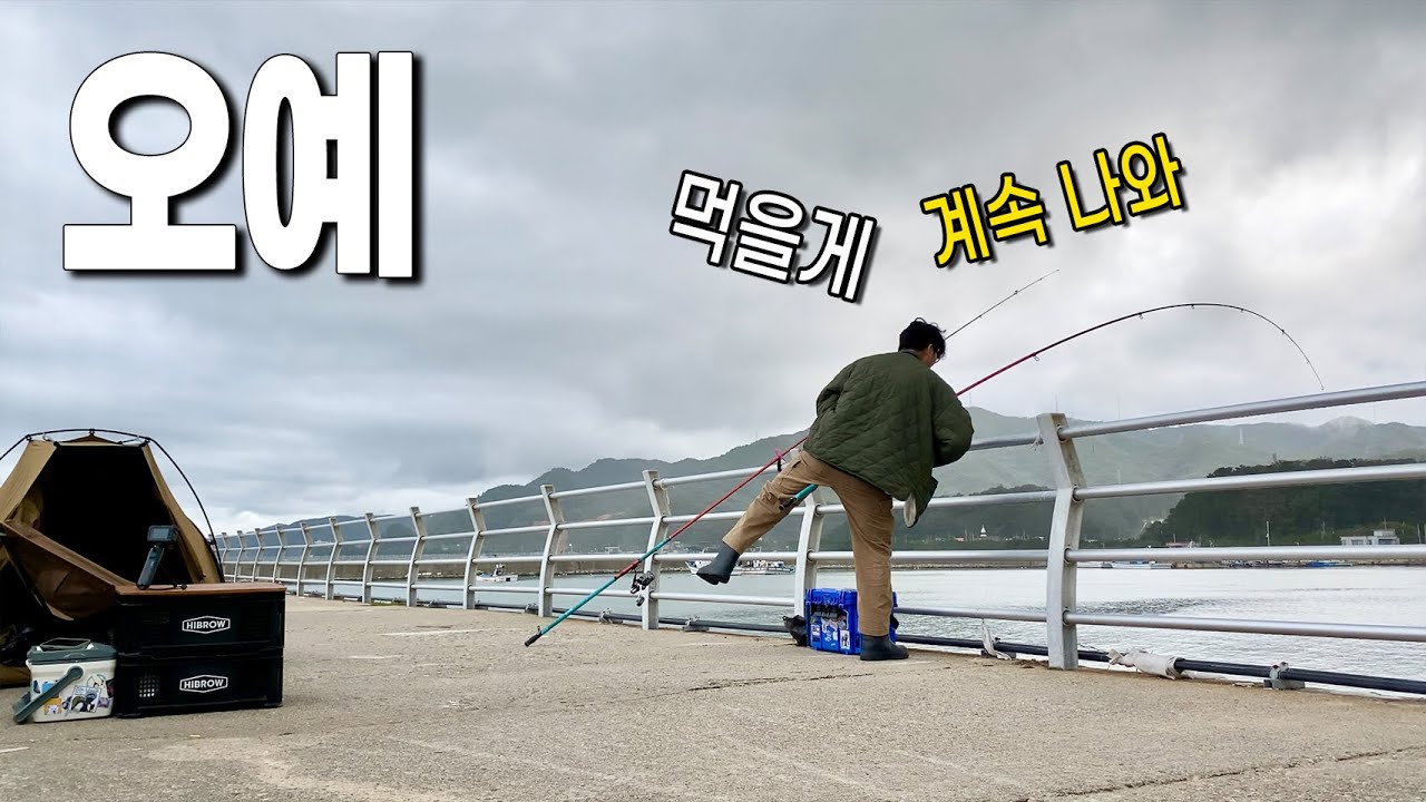 입질이 쏟아진다! 먹을게 계속 잡히네 (울진 캠낚)