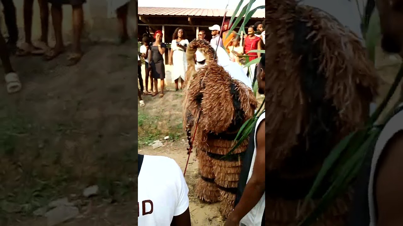 Mekuyo de barrio.punt sitoki entrada de ikengo