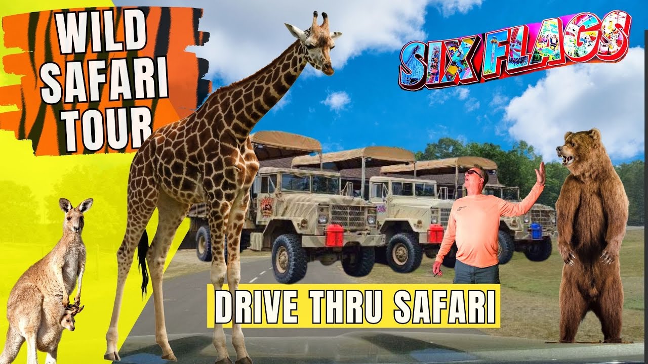 Come With Us On A Wild Safari At Six Flags Great Adventure! - New Jersey