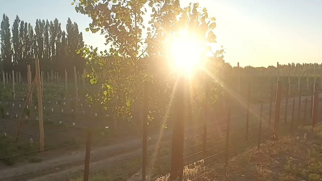 ZONA RURAL - Naturaleza en el sur argentino - Haciendo MOTOPASEO en las chacras - ESCUCHA QUE PAZ!!