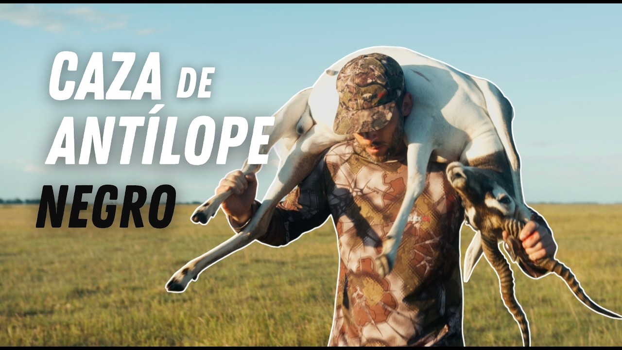 Caza de Antílope Negro | Maestría con un especialista