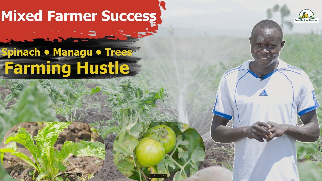 This 22-Year-Old Made 5 Times His Money in Vegetable Farming | Bramwel in Trans-Nzoia | Big Dreams
