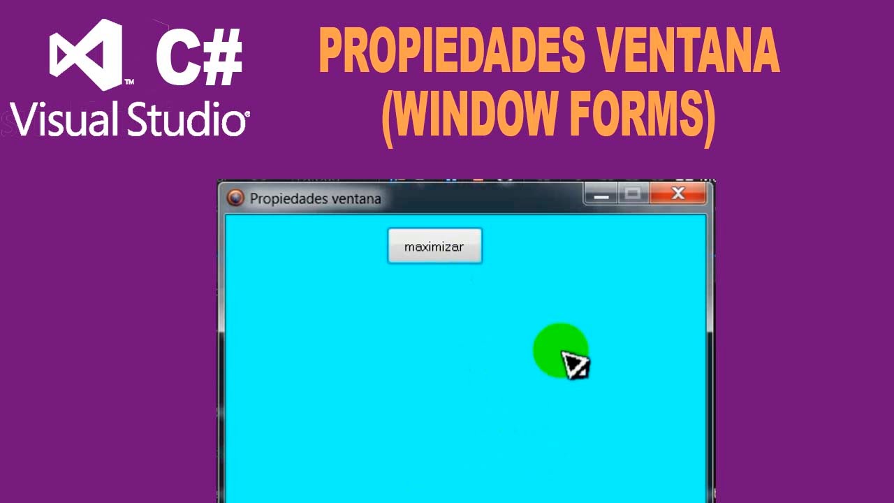 Propiedaes Windows Forms C#