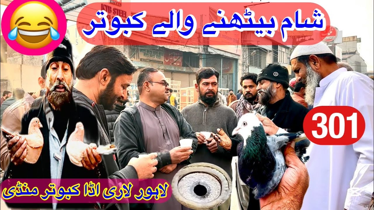 301) Lahore lari ada kabootar mandi || کبوتر منڈی || @amjadaliofficial528