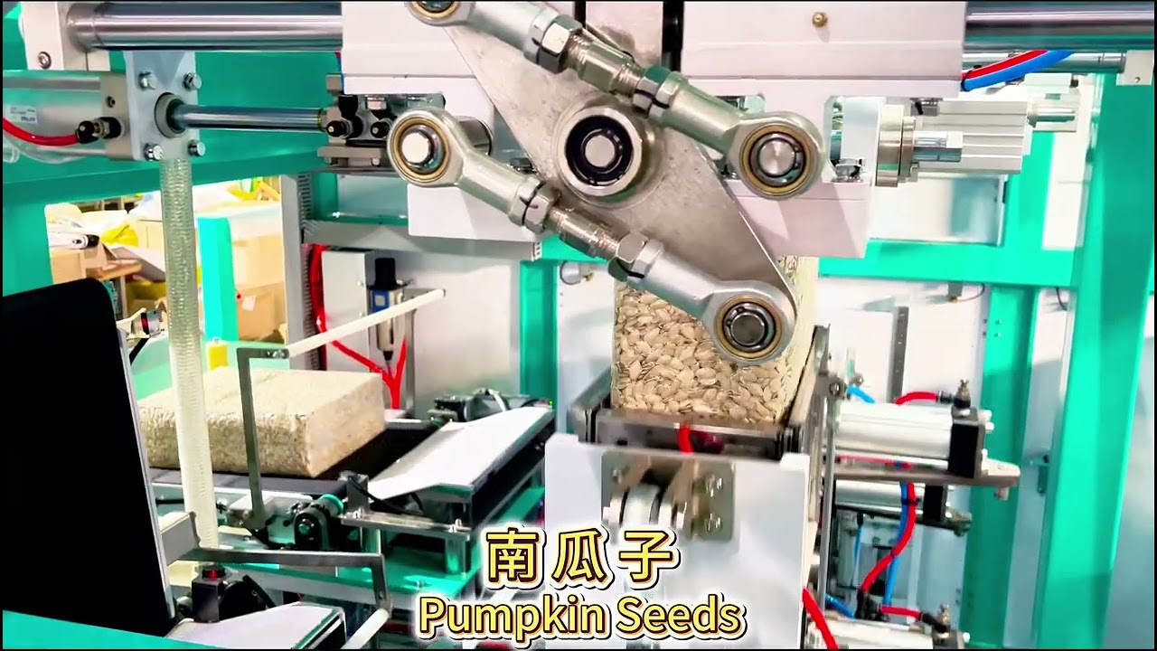 Not Just Rice! Packing Cat Litter, Seeds & Plastic Pellets | Universal Vacuum Machine | Jialong