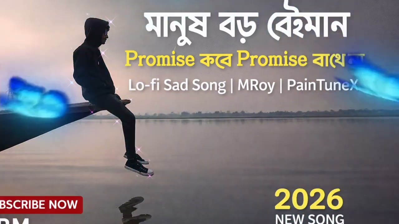 মানুষ বড় বেইমান | Promise করে Promise রাখে না | Lo-fi Sad Song | MRoy | PainTuneX